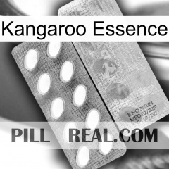 Kangaroo Essence 42